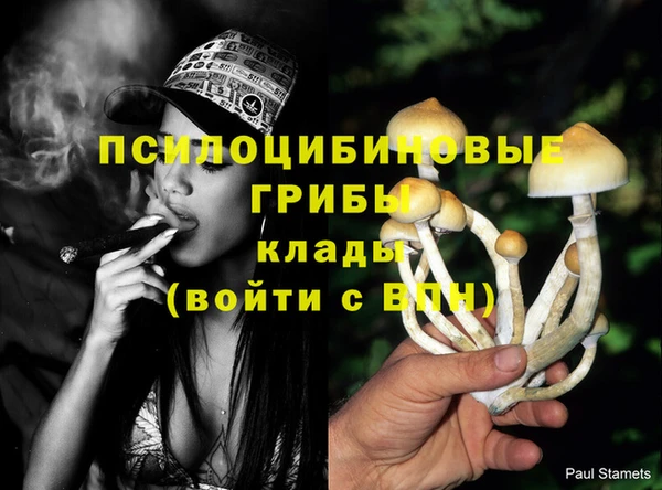 экстази Алексин