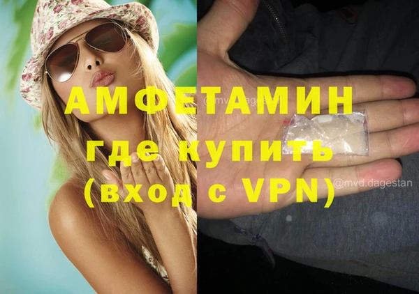 сатива Алзамай
